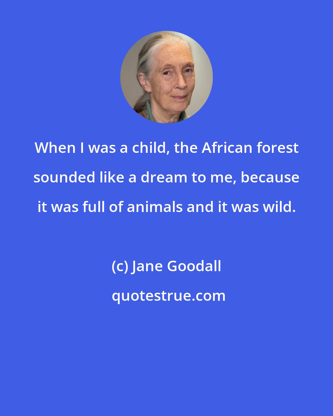 Jane Goodall: When I was a child, the African forest sounded like a dream to me, because it was full of animals and it was wild.