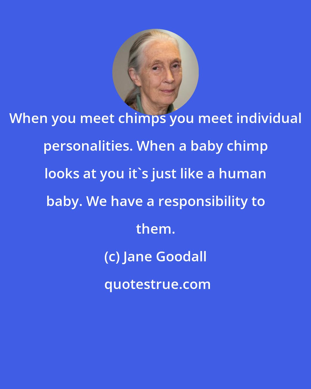 Jane Goodall: When you meet chimps you meet individual personalities. When a baby chimp looks at you it's just like a human baby. We have a responsibility to them.