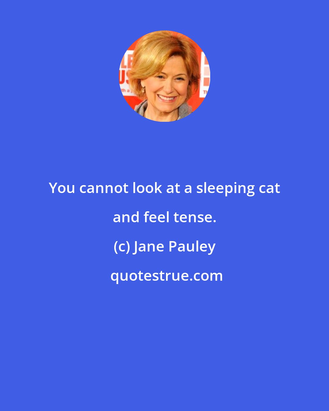 Jane Pauley: You cannot look at a sleeping cat and feel tense.