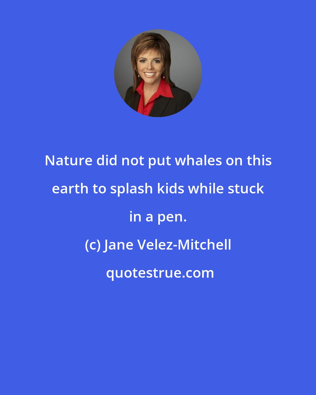 Jane Velez-Mitchell: Nature did not put whales on this earth to splash kids while stuck in a pen.