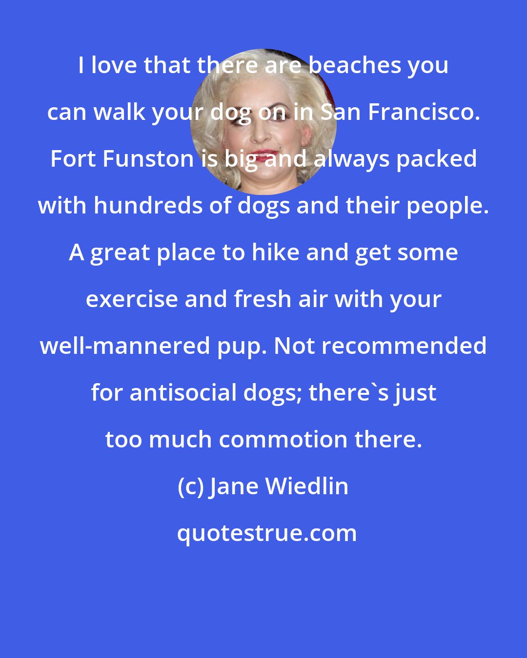 Jane Wiedlin: I love that there are beaches you can walk your dog on in San Francisco. Fort Funston is big and always packed with hundreds of dogs and their people. A great place to hike and get some exercise and fresh air with your well-mannered pup. Not recommended for antisocial dogs; there's just too much commotion there.