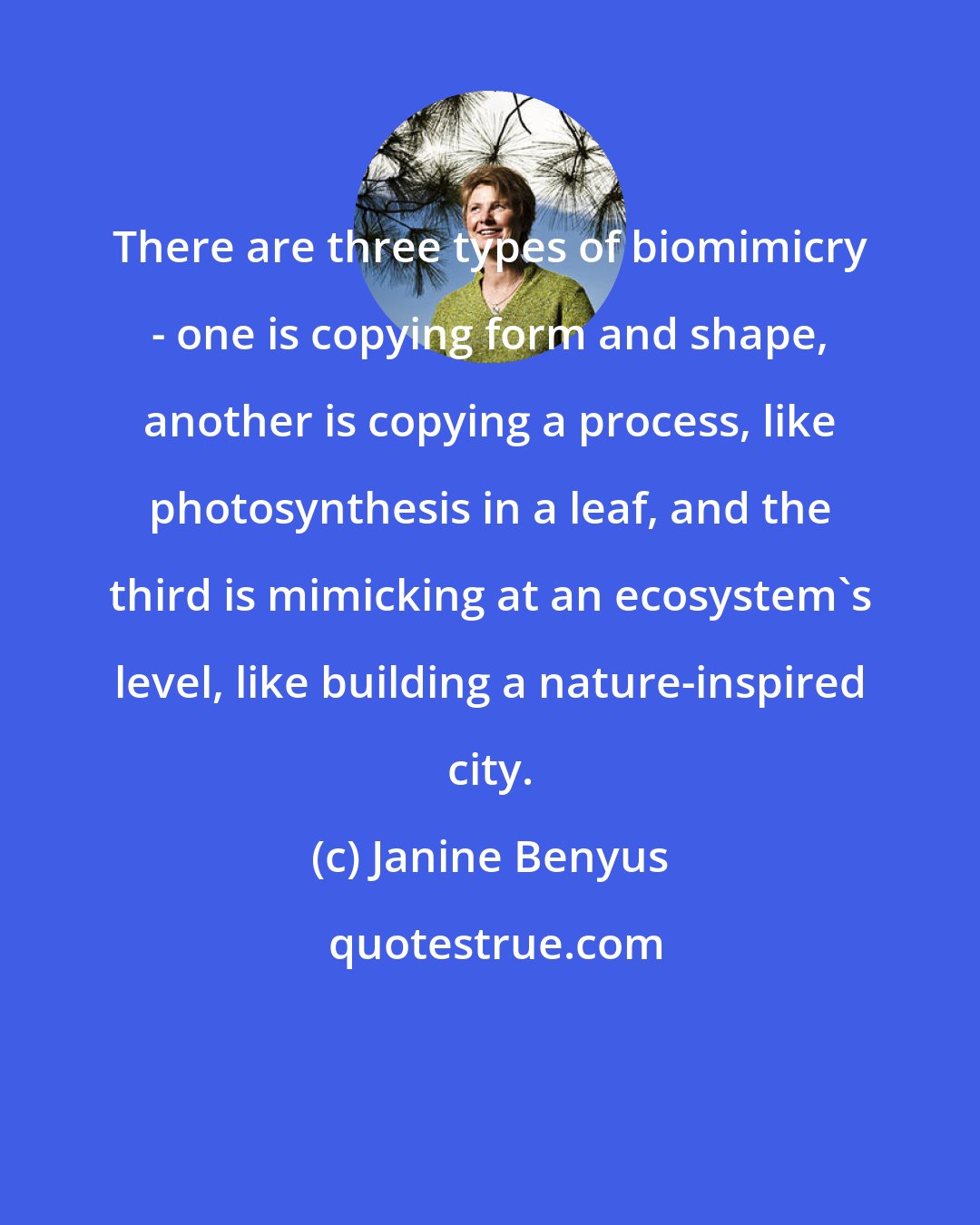 Janine Benyus: There are three types of biomimicry - one is copying form and shape, another is copying a process, like photosynthesis in a leaf, and the third is mimicking at an ecosystem's level, like building a nature-inspired city.
