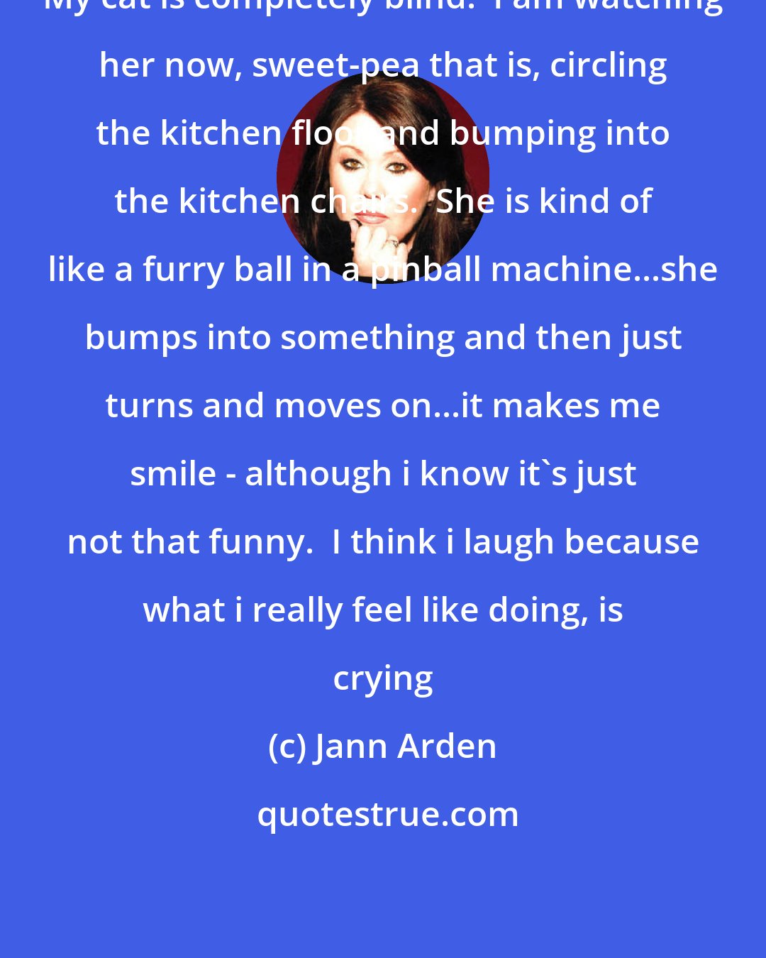 Jann Arden: My cat is completely blind.  I am watching her now, sweet-pea that is, circling the kitchen floor and bumping into the kitchen chairs.  She is kind of like a furry ball in a pinball machine...she bumps into something and then just turns and moves on...it makes me smile - although i know it's just not that funny.  I think i laugh because what i really feel like doing, is crying