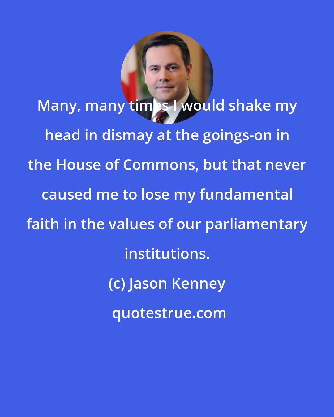 Jason Kenney: Many, many times I would shake my head in dismay at the goings-on in the House of Commons, but that never caused me to lose my fundamental faith in the values of our parliamentary institutions.