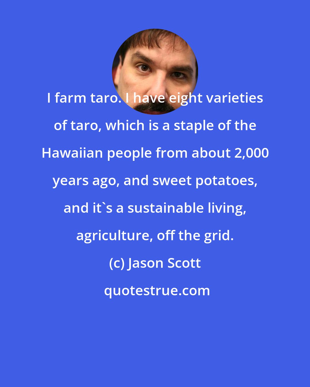 Jason Scott: I farm taro. I have eight varieties of taro, which is a staple of the Hawaiian people from about 2,000 years ago, and sweet potatoes, and it's a sustainable living, agriculture, off the grid.