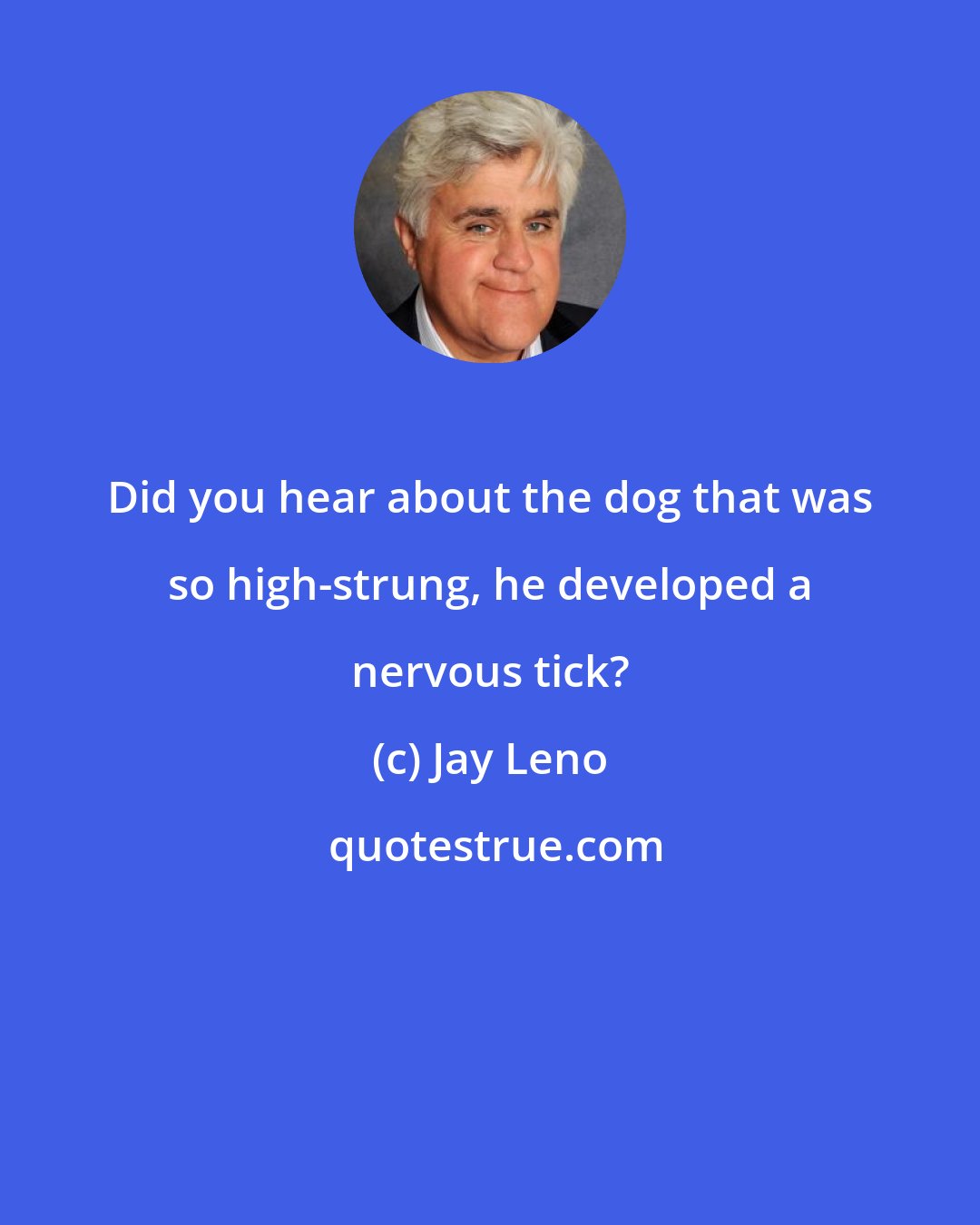 Jay Leno: Did you hear about the dog that was so high-strung, he developed a nervous tick?