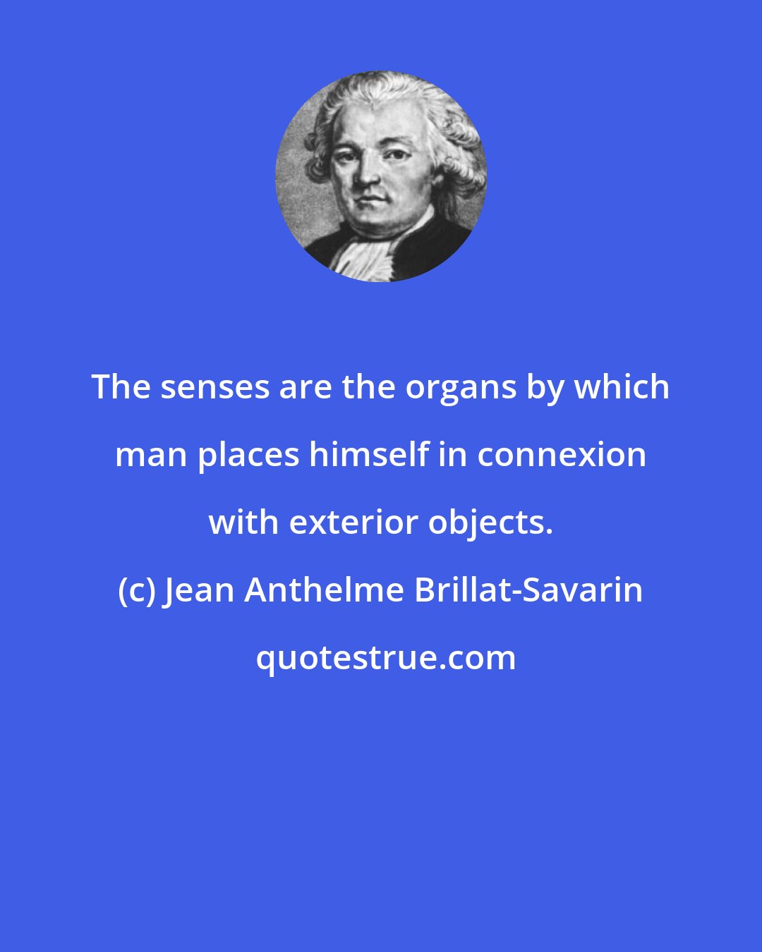 Jean Anthelme Brillat-Savarin: The senses are the organs by which man places himself in connexion with exterior objects.