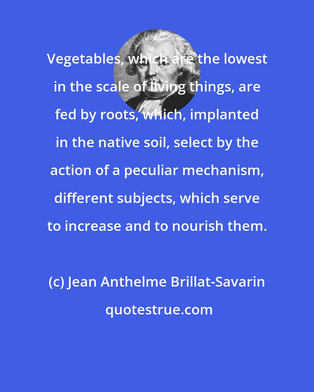 Jean Anthelme Brillat-Savarin: Vegetables, which are the lowest in the scale of living things, are fed by roots, which, implanted in the native soil, select by the action of a peculiar mechanism, different subjects, which serve to increase and to nourish them.