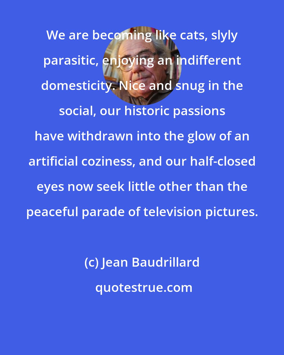 Jean Baudrillard: We are becoming like cats, slyly parasitic, enjoying an indifferent domesticity. Nice and snug in the social, our historic passions have withdrawn into the glow of an artificial coziness, and our half-closed eyes now seek little other than the peaceful parade of television pictures.