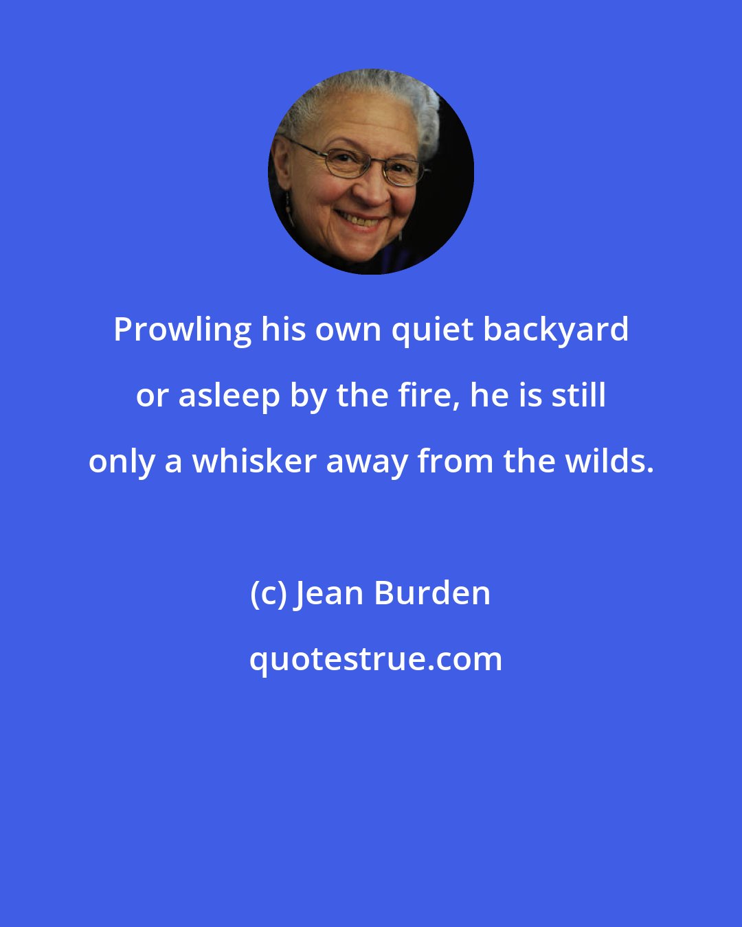 Jean Burden: Prowling his own quiet backyard or asleep by the fire, he is still only a whisker away from the wilds.