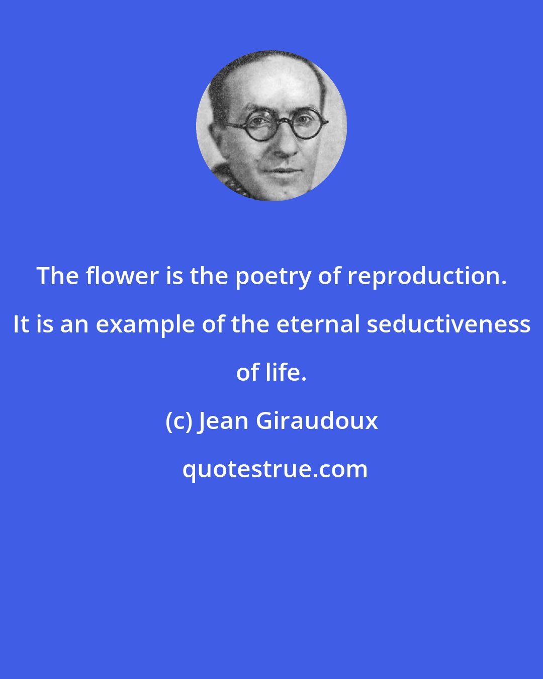 Jean Giraudoux: The flower is the poetry of reproduction. It is an example of the eternal seductiveness of life.