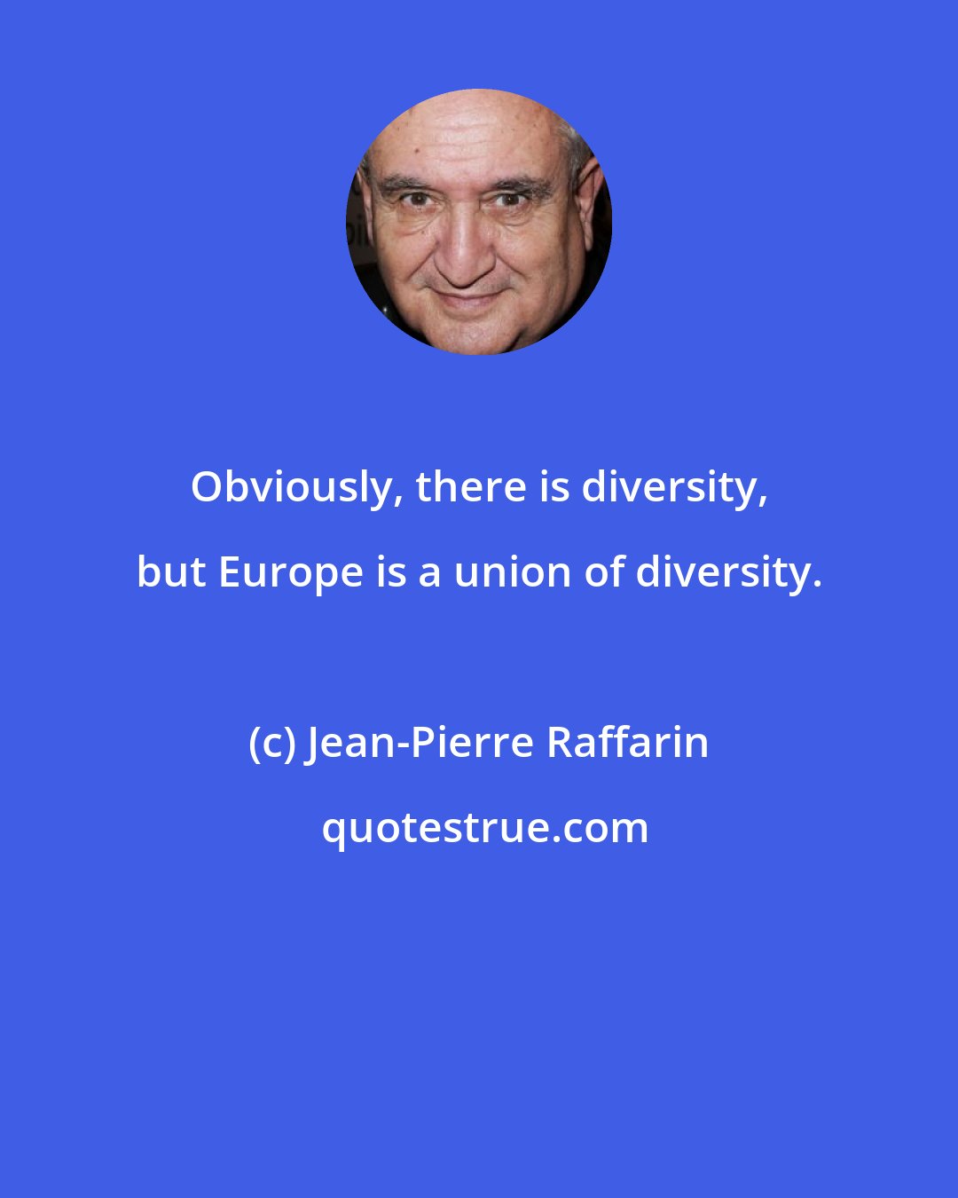 Jean-Pierre Raffarin: Obviously, there is diversity, but Europe is a union of diversity.