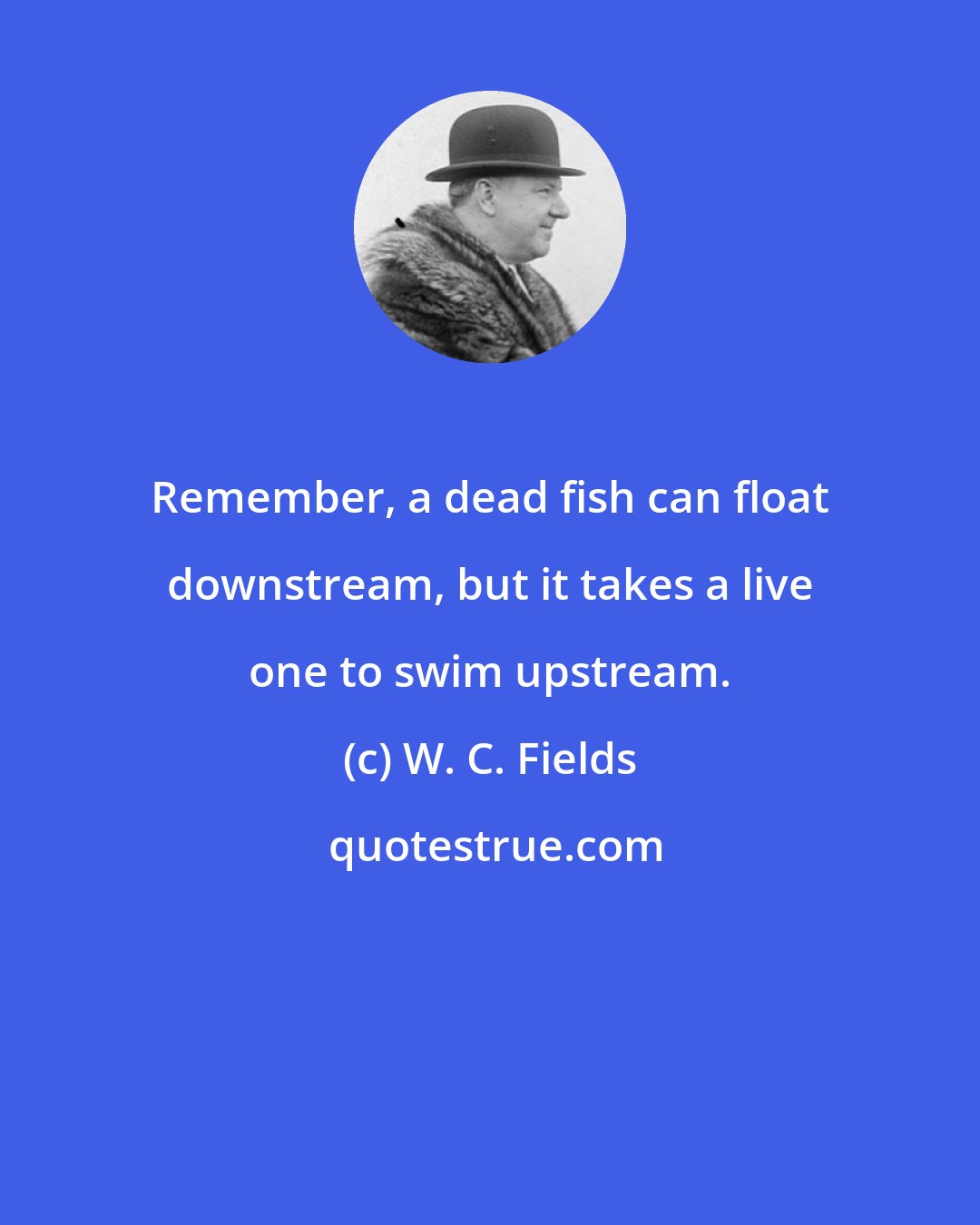 W. C. Fields: Remember, a dead fish can float downstream, but it takes a live one to swim upstream.