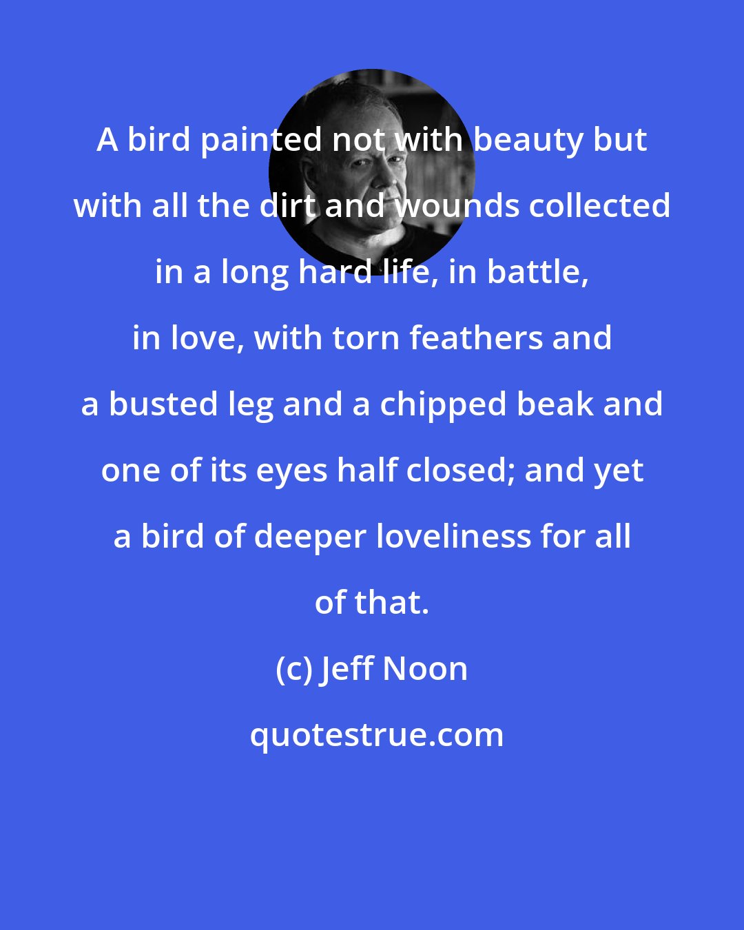 Jeff Noon: A bird painted not with beauty but with all the dirt and wounds collected in a long hard life, in battle, in love, with torn feathers and a busted leg and a chipped beak and one of its eyes half closed; and yet a bird of deeper loveliness for all of that.