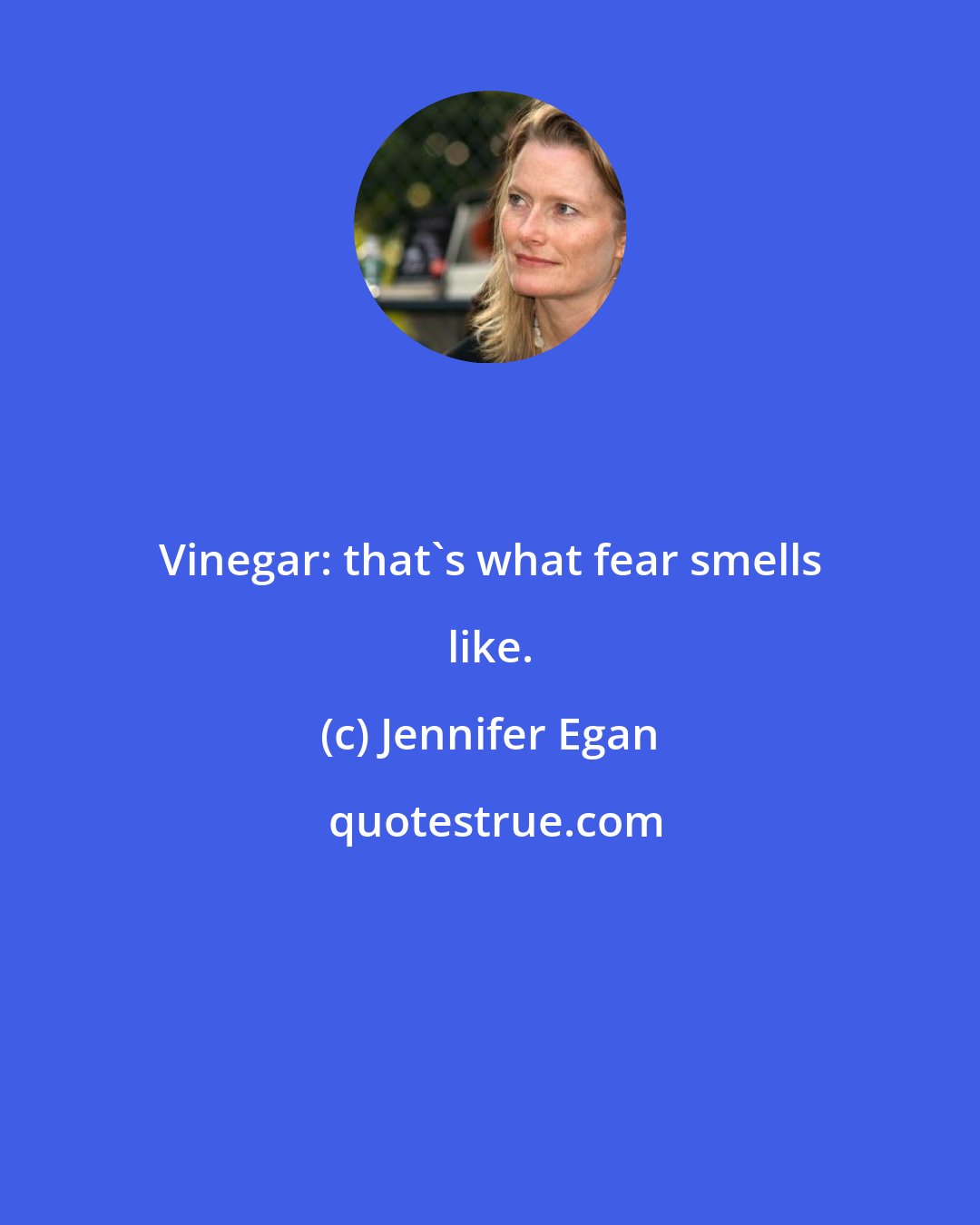 Jennifer Egan: Vinegar: that's what fear smells like.