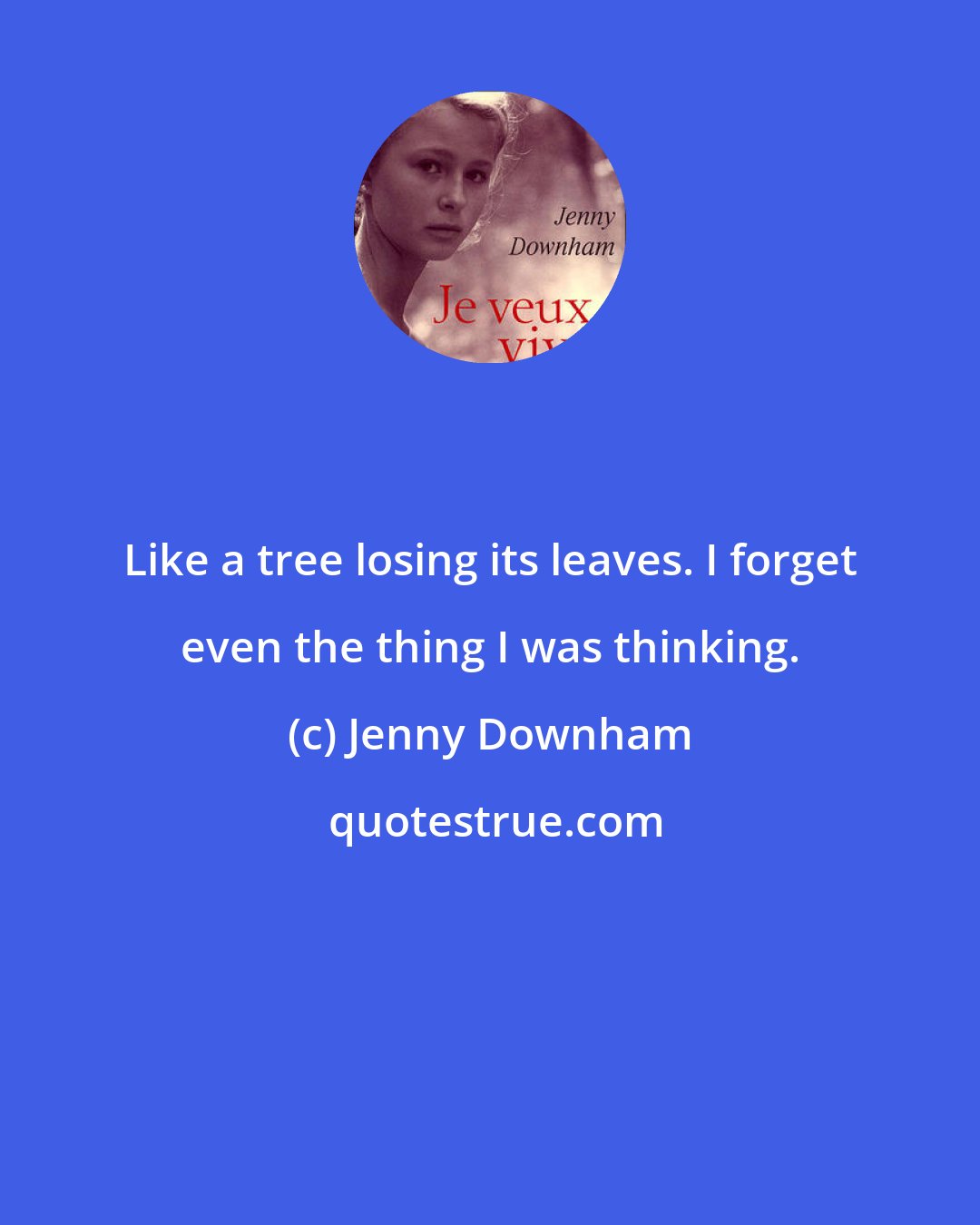 Jenny Downham: Like a tree losing its leaves. I forget even the thing I was thinking.