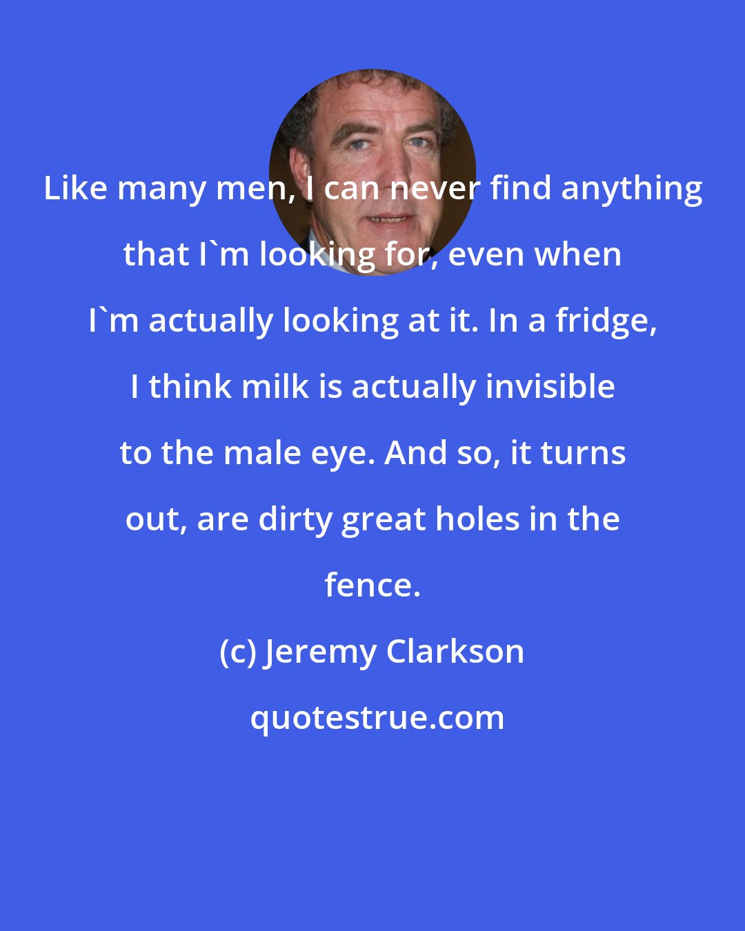 Jeremy Clarkson: Like many men, I can never find anything that I'm looking for, even when I'm actually looking at it. In a fridge, I think milk is actually invisible to the male eye. And so, it turns out, are dirty great holes in the fence.