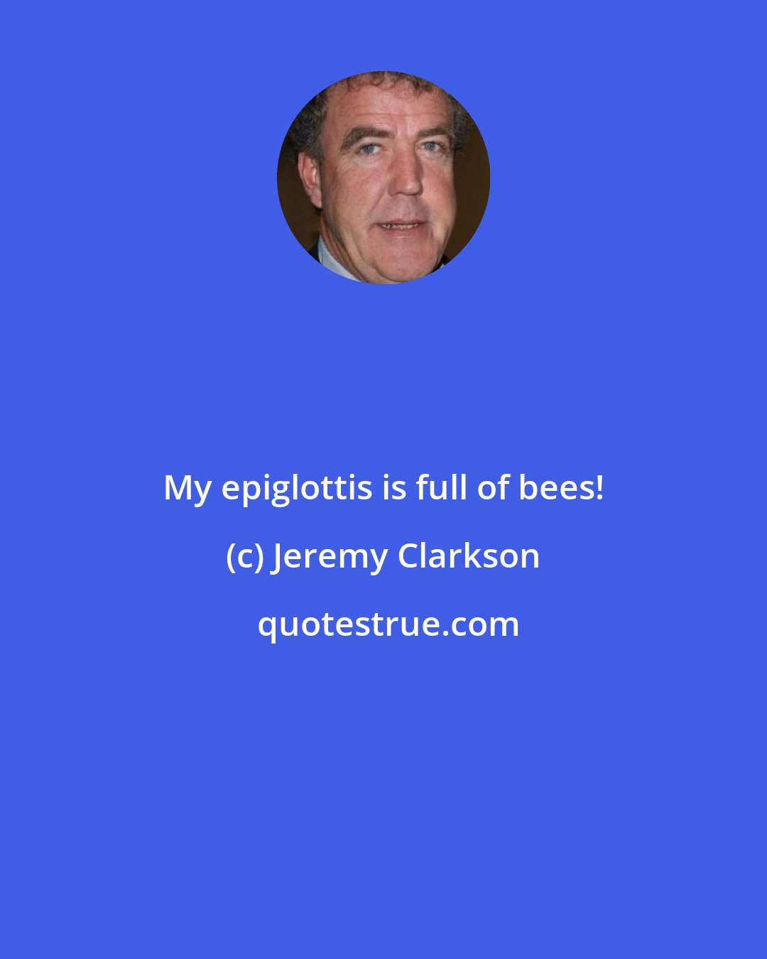 Jeremy Clarkson: My epiglottis is full of bees!