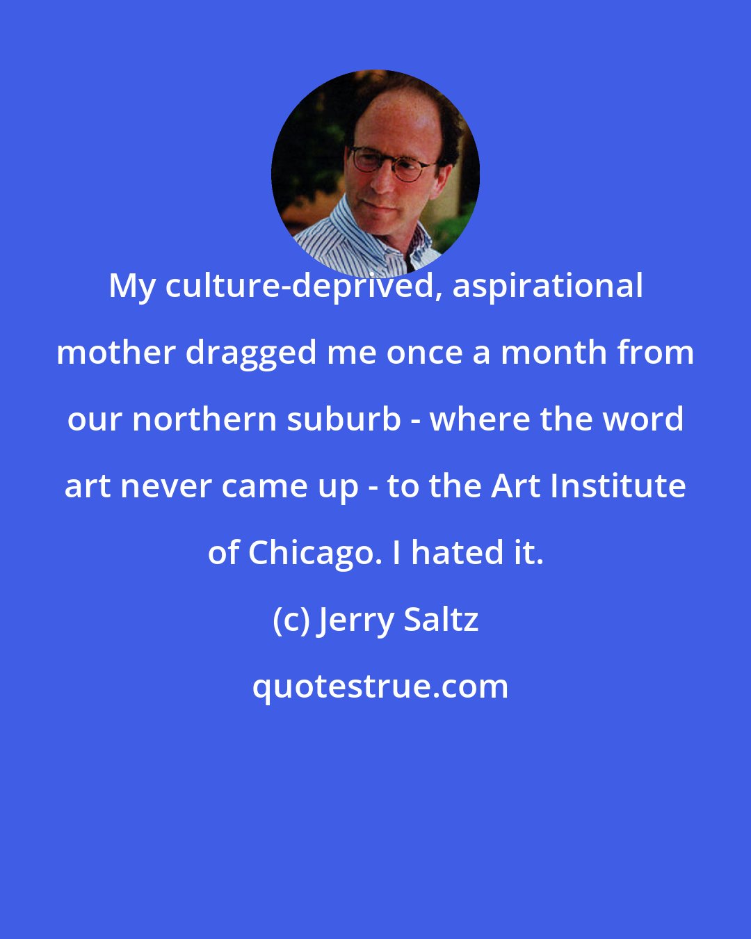 Jerry Saltz: My culture-deprived, aspirational mother dragged me once a month from our northern suburb - where the word art never came up - to the Art Institute of Chicago. I hated it.