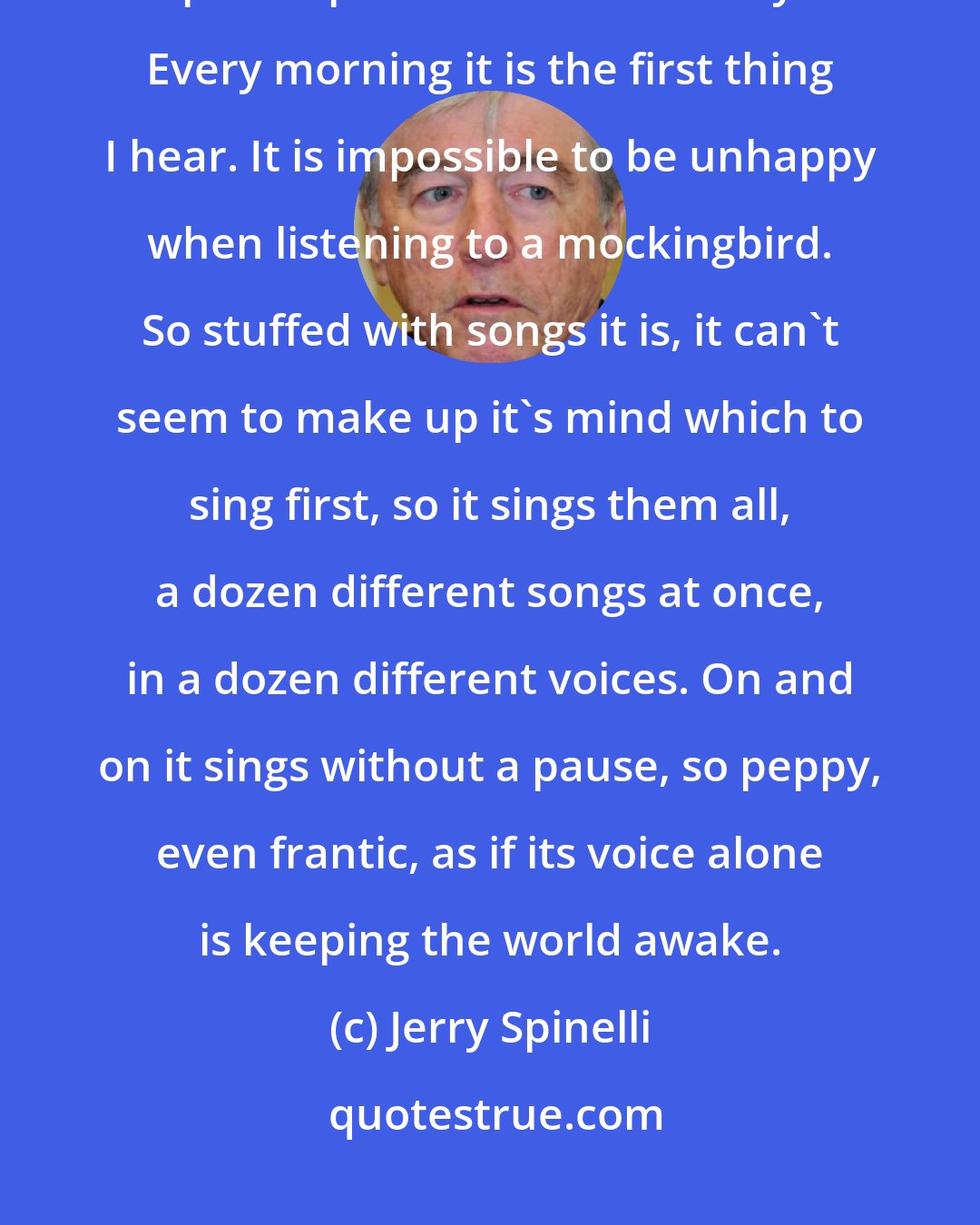 Jerry Spinelli: A mockingbird has moved into our neighborhood. It perches atop a telephone pole behind our backyard. Every morning it is the first thing I hear. It is impossible to be unhappy when listening to a mockingbird. So stuffed with songs it is, it can't seem to make up it's mind which to sing first, so it sings them all, a dozen different songs at once, in a dozen different voices. On and on it sings without a pause, so peppy, even frantic, as if its voice alone is keeping the world awake.