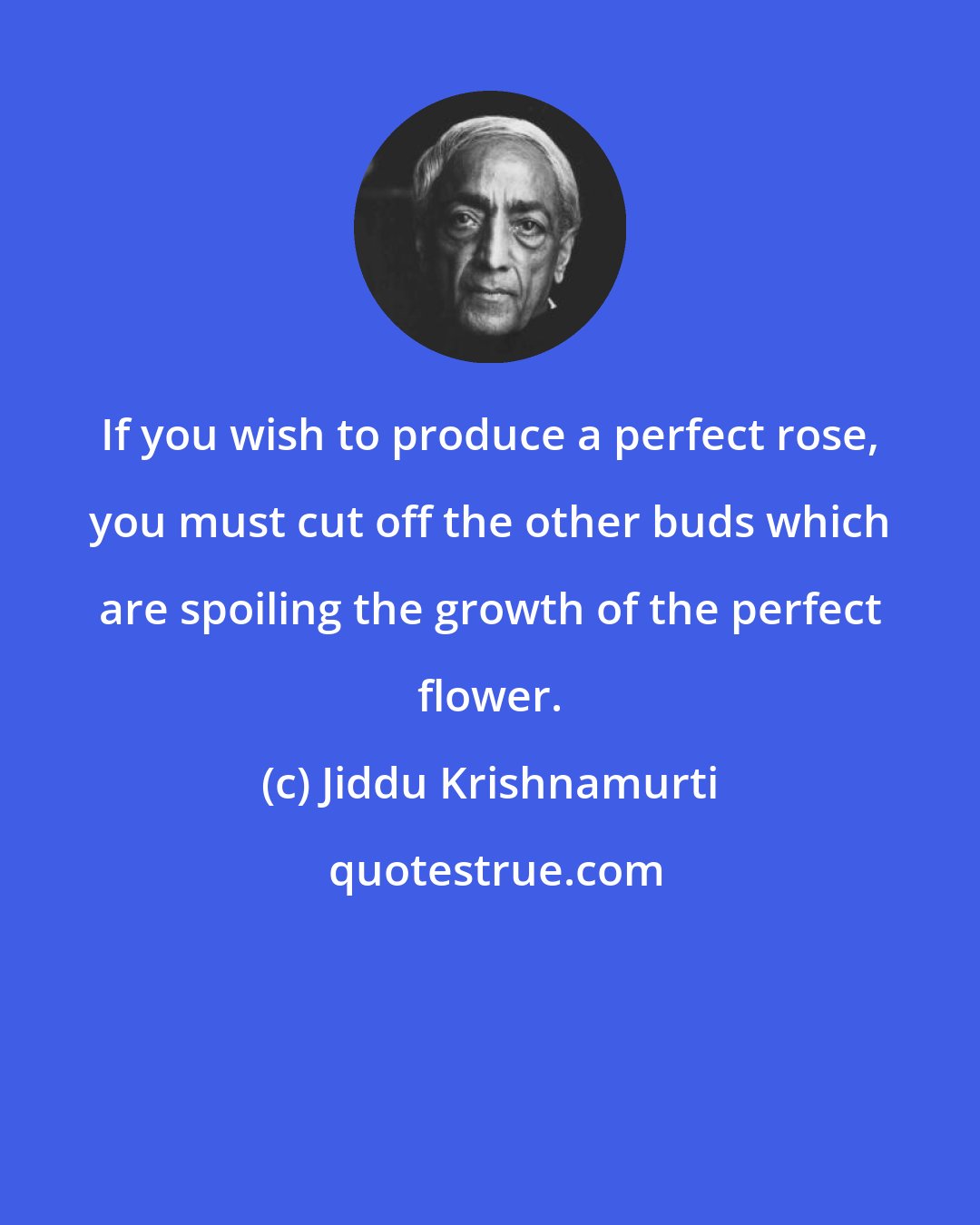 Jiddu Krishnamurti: If you wish to produce a perfect rose, you must cut off the other buds which are spoiling the growth of the perfect flower.