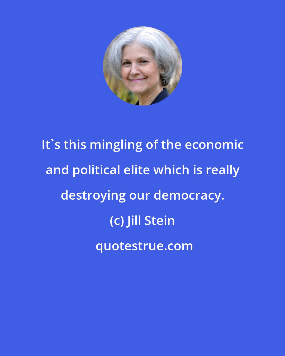 Jill Stein: It's this mingling of the economic and political elite which is really destroying our democracy.