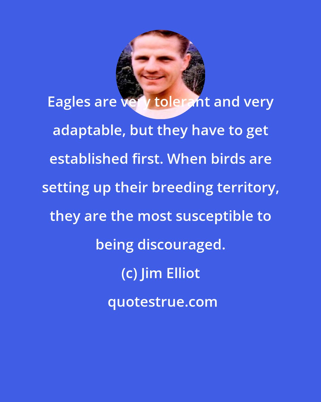 Jim Elliot: Eagles are very tolerant and very adaptable, but they have to get established first. When birds are setting up their breeding territory, they are the most susceptible to being discouraged.