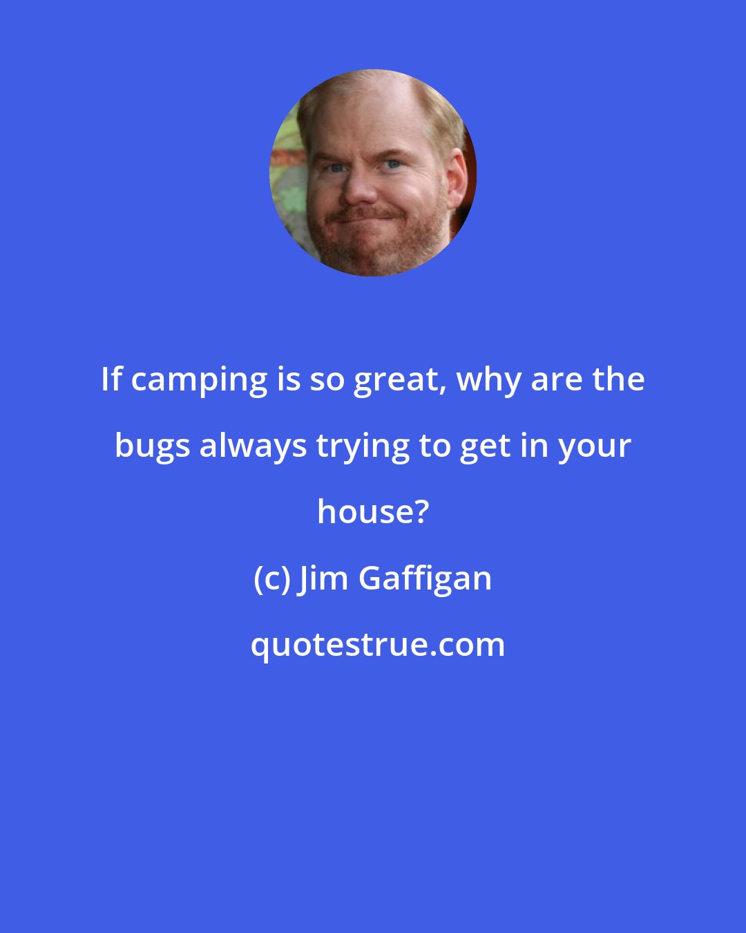 Jim Gaffigan: If camping is so great, why are the bugs always trying to get in your house?