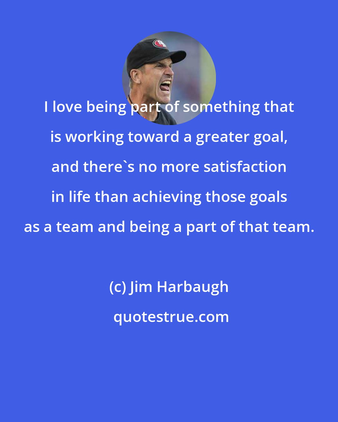 Jim Harbaugh: I love being part of something that is working toward a greater goal, and there's no more satisfaction in life than achieving those goals as a team and being a part of that team.