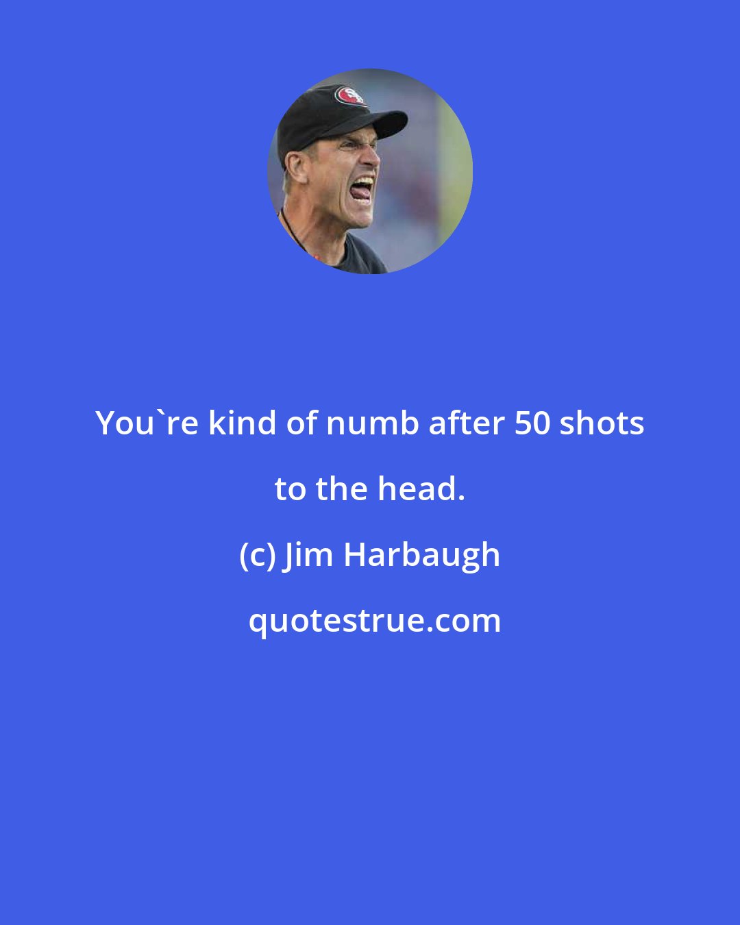 Jim Harbaugh: You're kind of numb after 50 shots to the head.