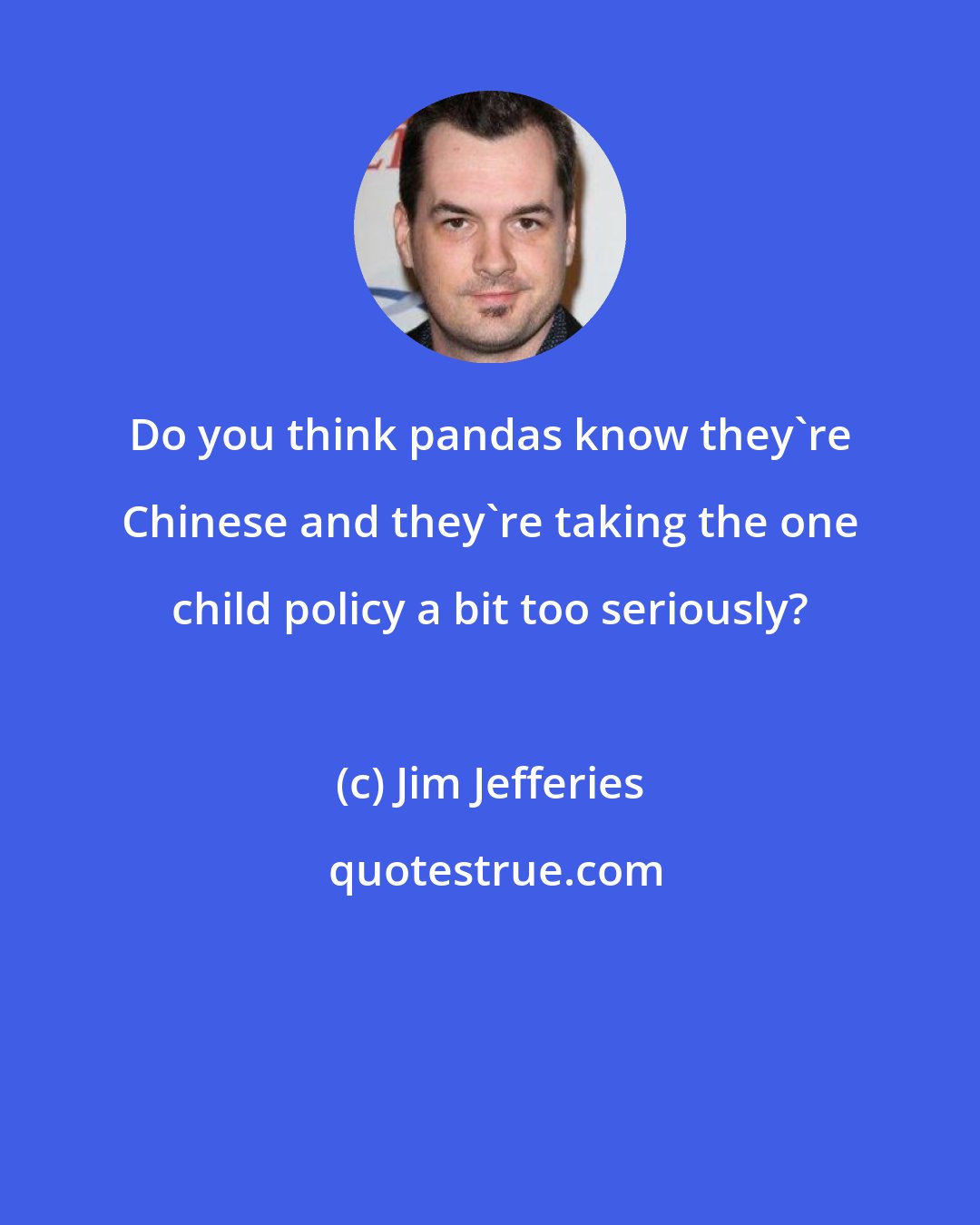 Jim Jefferies: Do you think pandas know they're Chinese and they're taking the one child policy a bit too seriously?