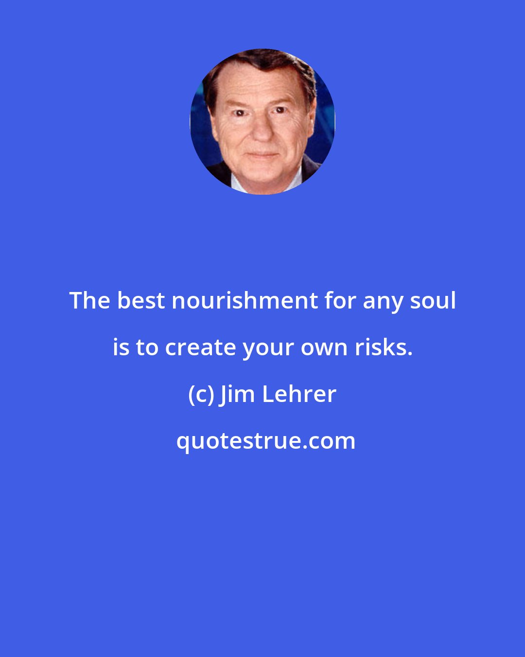 Jim Lehrer: The best nourishment for any soul is to create your own risks.