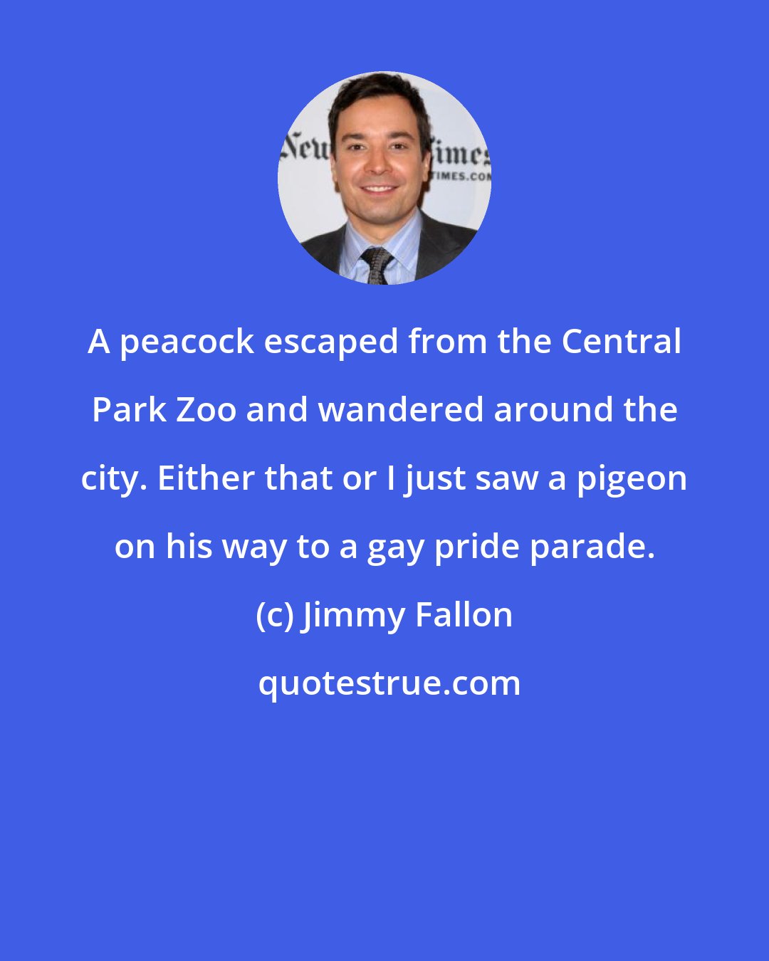 Jimmy Fallon: A peacock escaped from the Central Park Zoo and wandered around the city. Either that or I just saw a pigeon on his way to a gay pride parade.