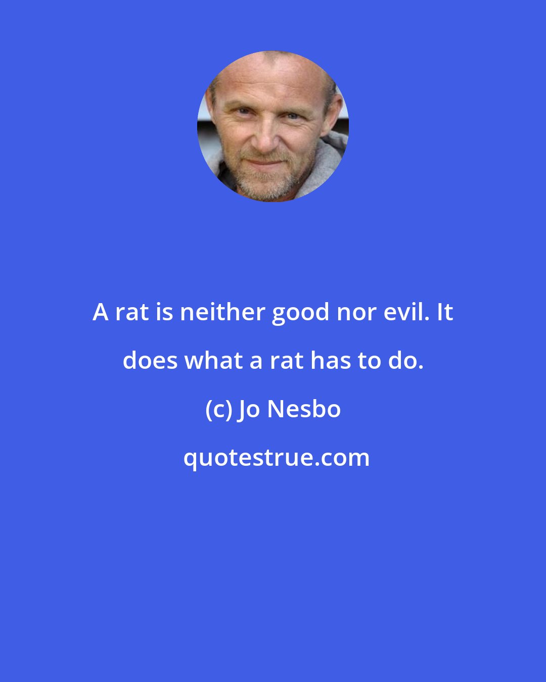 Jo Nesbo: A rat is neither good nor evil. It does what a rat has to do.