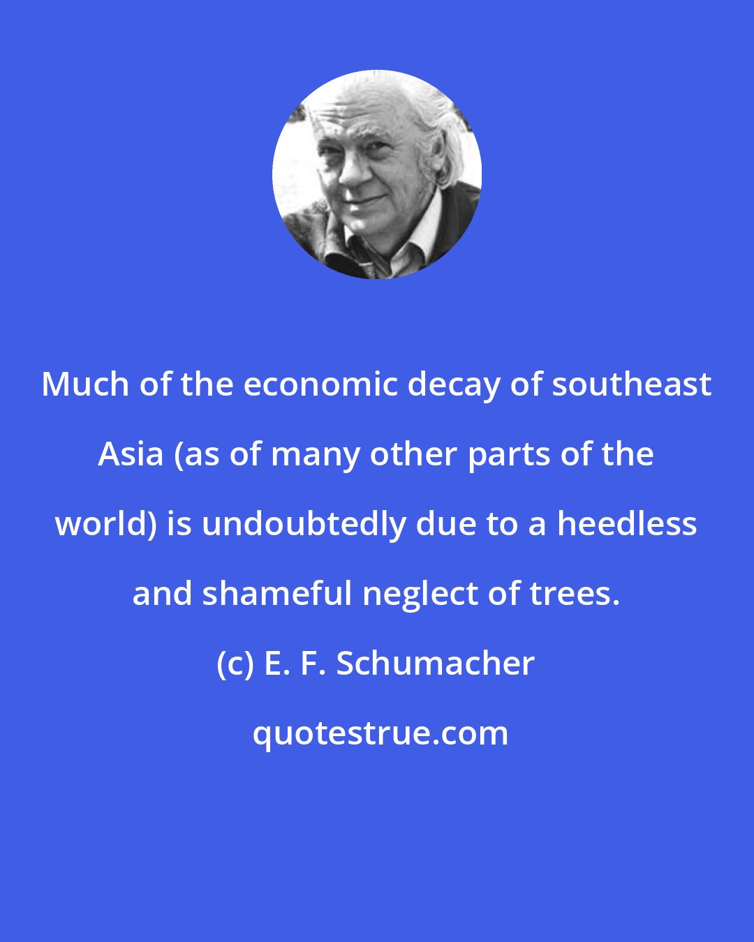 E. F. Schumacher: Much of the economic decay of southeast Asia (as of many other parts of the world) is undoubtedly due to a heedless and shameful neglect of trees.