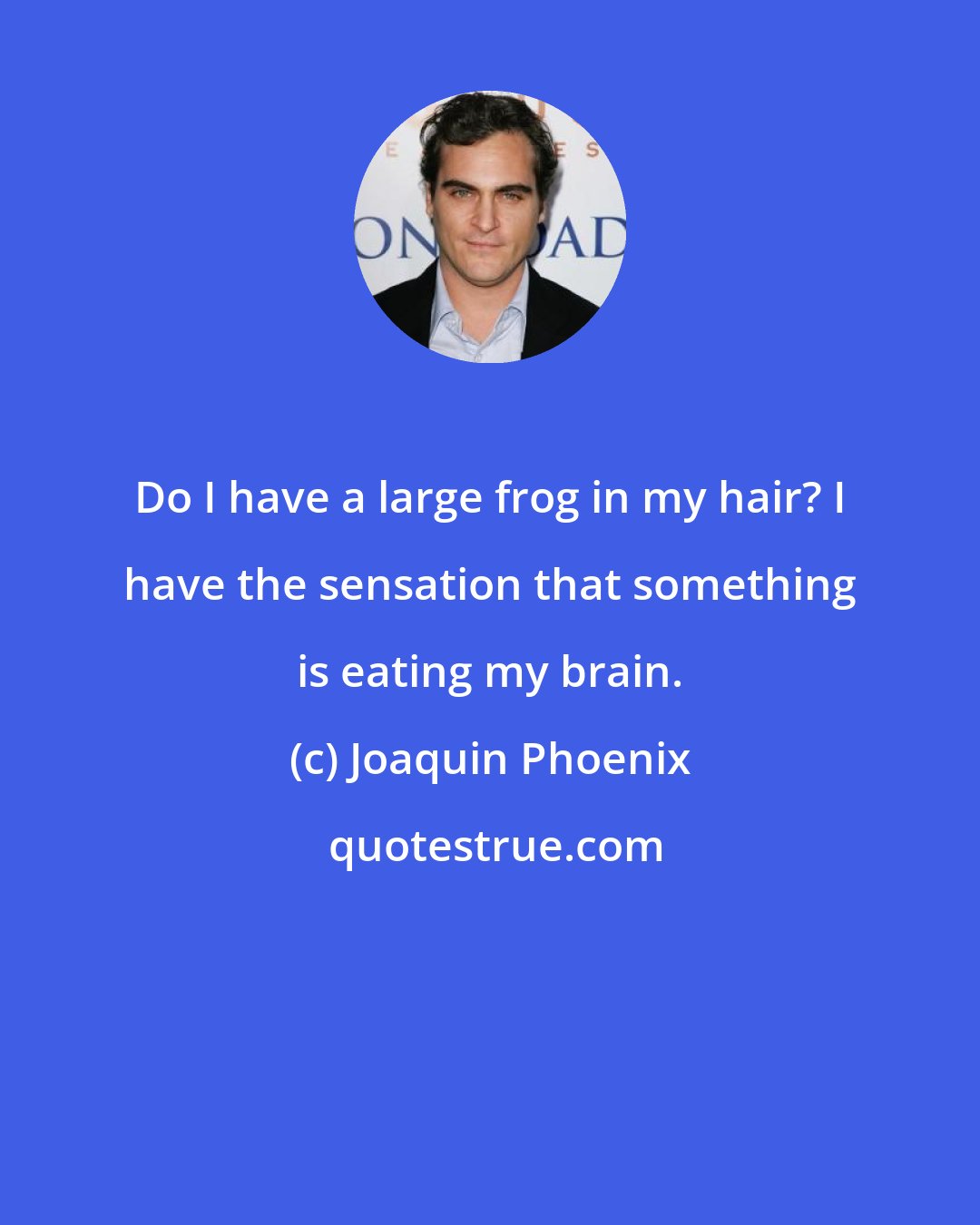 Joaquin Phoenix: Do I have a large frog in my hair? I have the sensation that something is eating my brain.