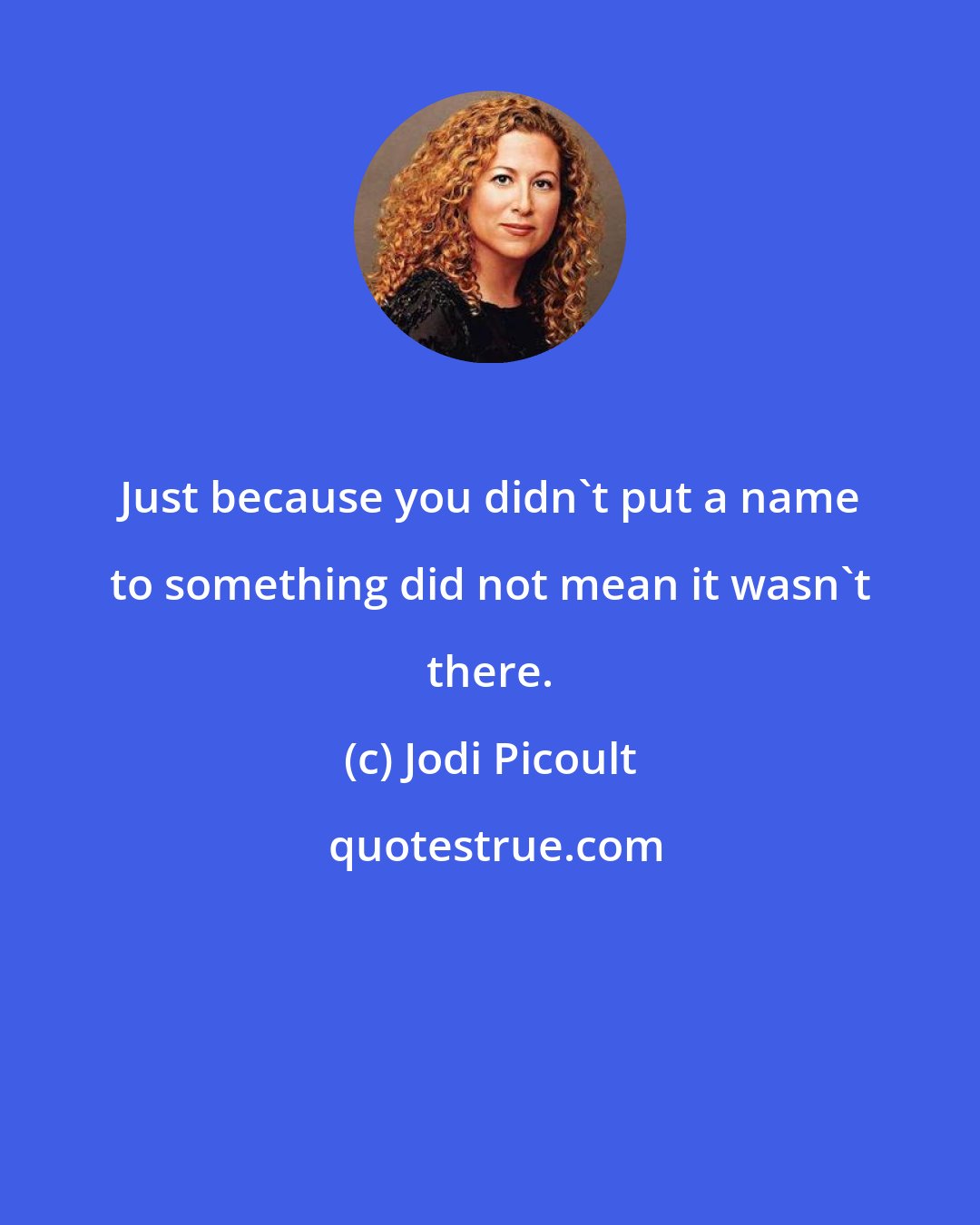 Jodi Picoult: Just because you didn't put a name to something did not mean it wasn't there.