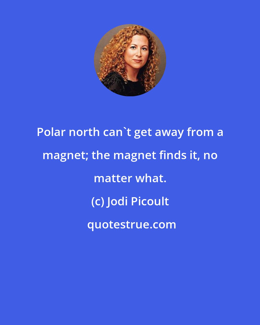 Jodi Picoult: Polar north can't get away from a magnet; the magnet finds it, no matter what.