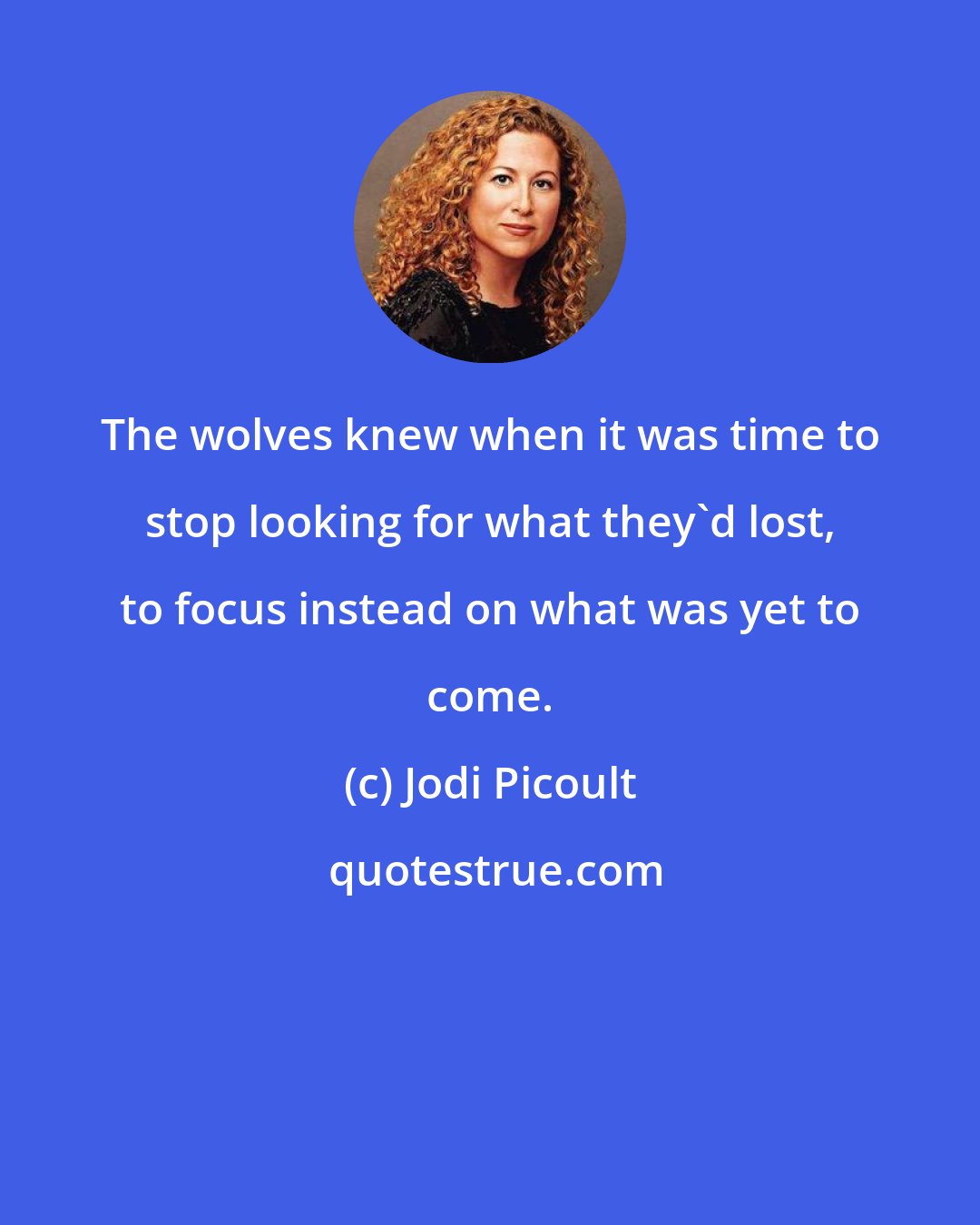 Jodi Picoult: The wolves knew when it was time to stop looking for what they'd lost, to focus instead on what was yet to come.