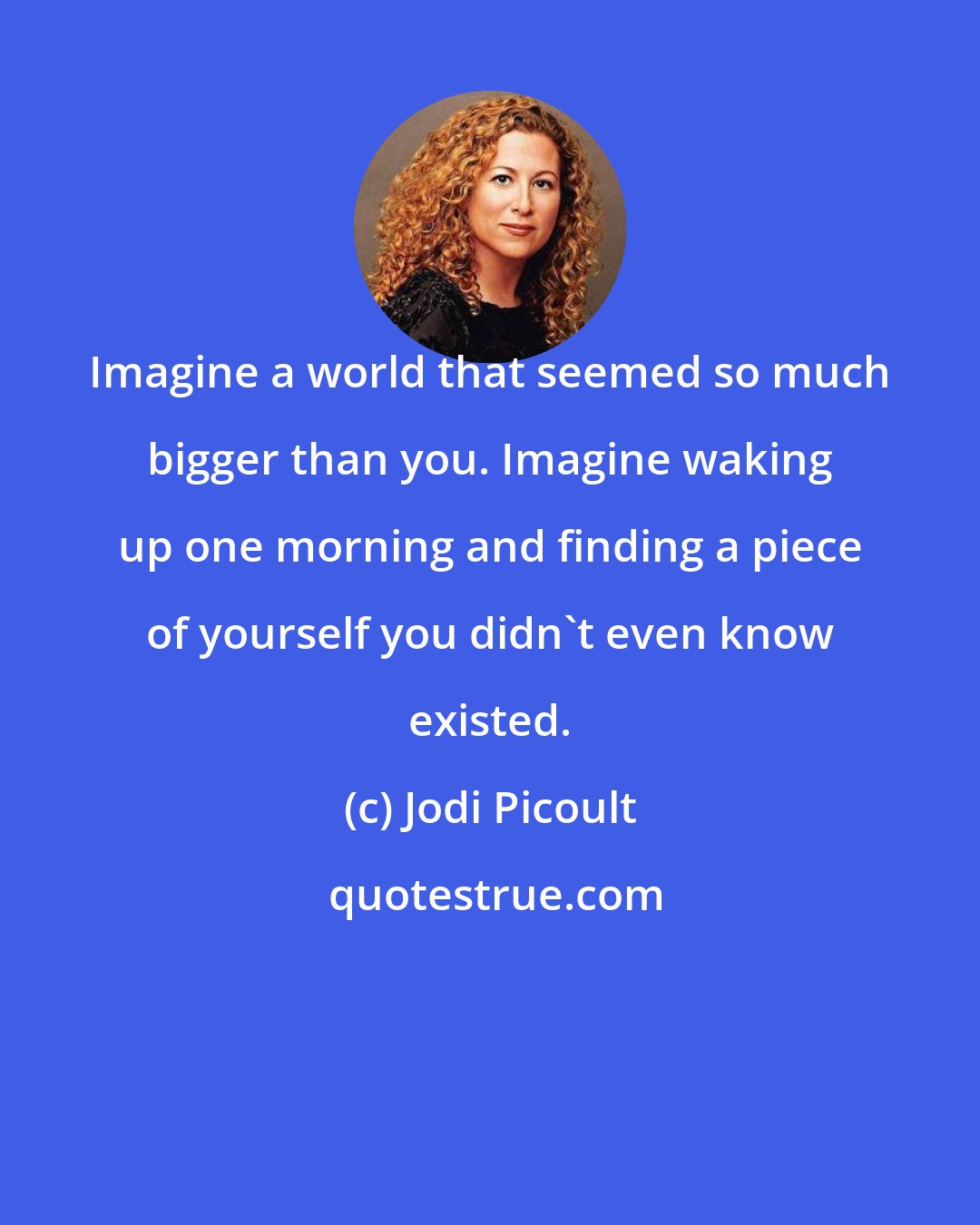 Jodi Picoult: Imagine a world that seemed so much bigger than you. Imagine waking up one morning and finding a piece of yourself you didn't even know existed.