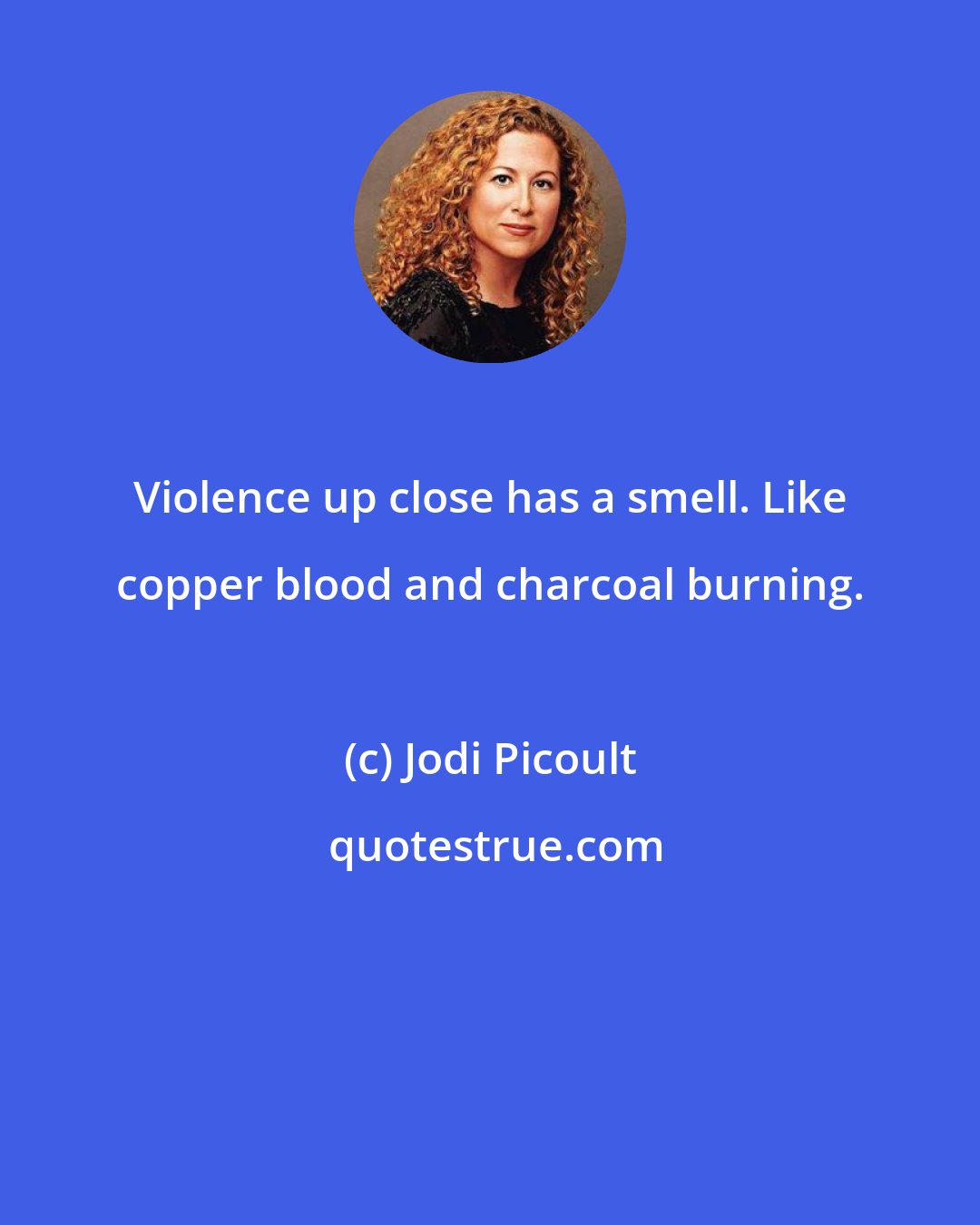 Jodi Picoult: Violence up close has a smell. Like copper blood and charcoal burning.