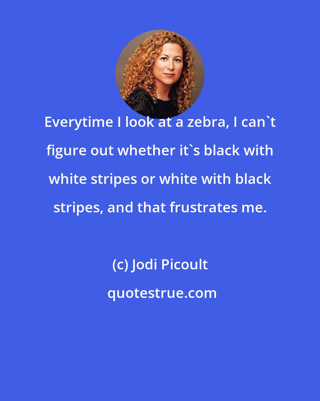 Jodi Picoult: Everytime I look at a zebra, I can't figure out whether it's black with white stripes or white with black stripes, and that frustrates me.