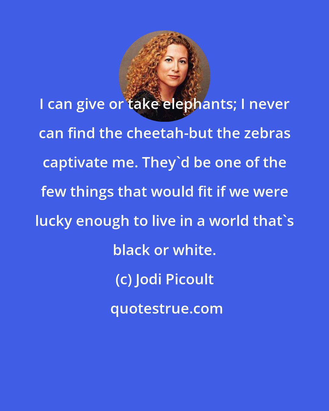 Jodi Picoult: I can give or take elephants; I never can find the cheetah-but the zebras captivate me. They'd be one of the few things that would fit if we were lucky enough to live in a world that's black or white.