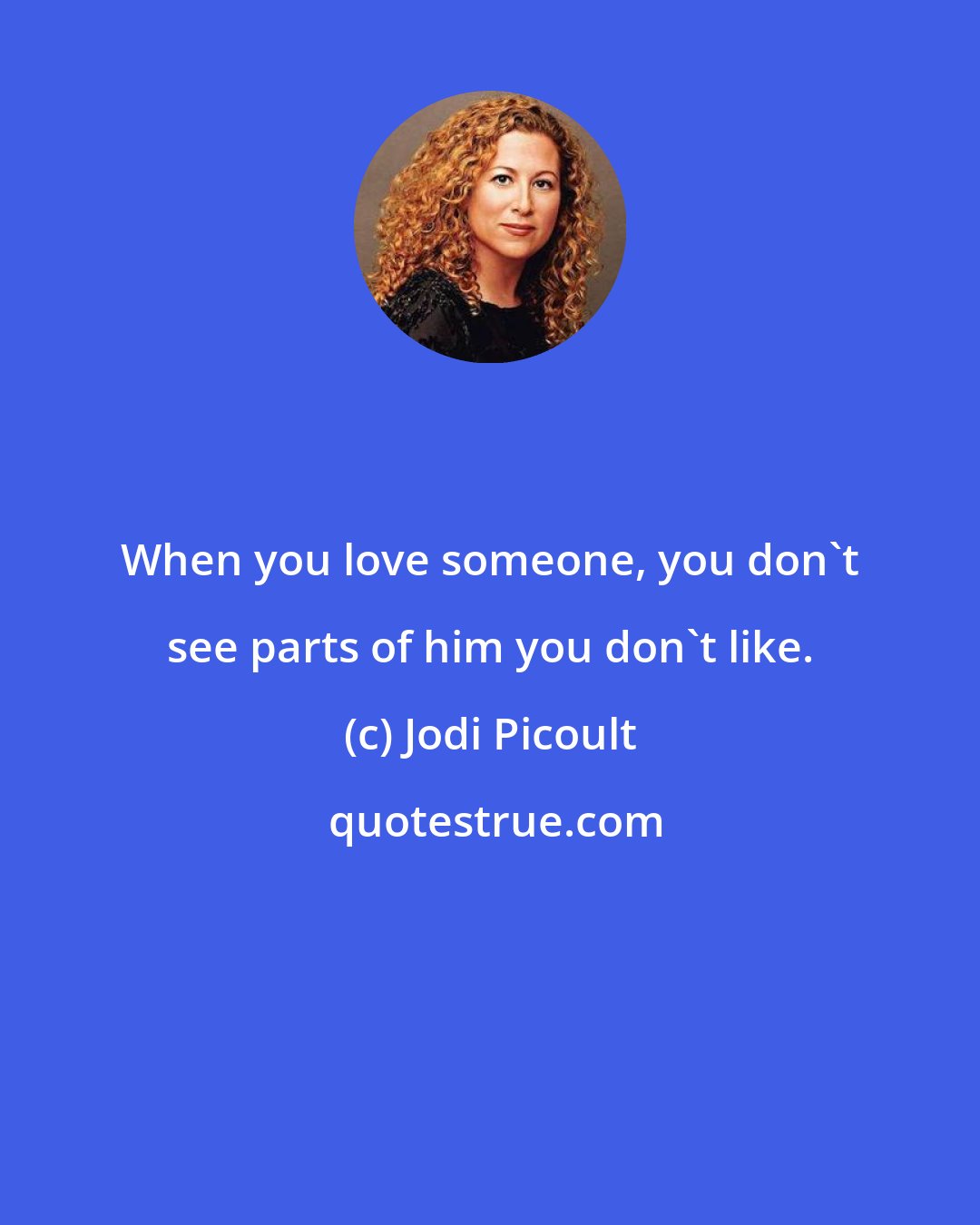 Jodi Picoult: When you love someone, you don't see parts of him you don't like.
