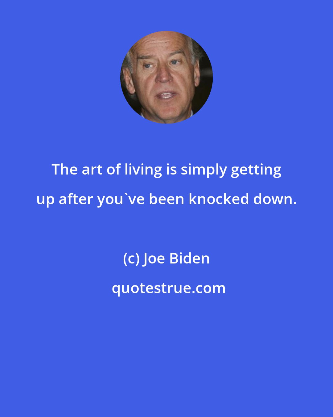 Joe Biden: The art of living is simply getting up after you've been knocked down.