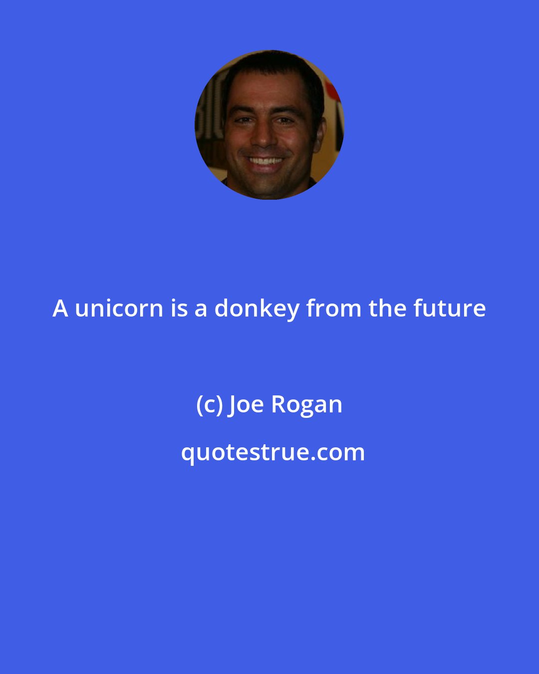 Joe Rogan: A unicorn is a donkey from the future