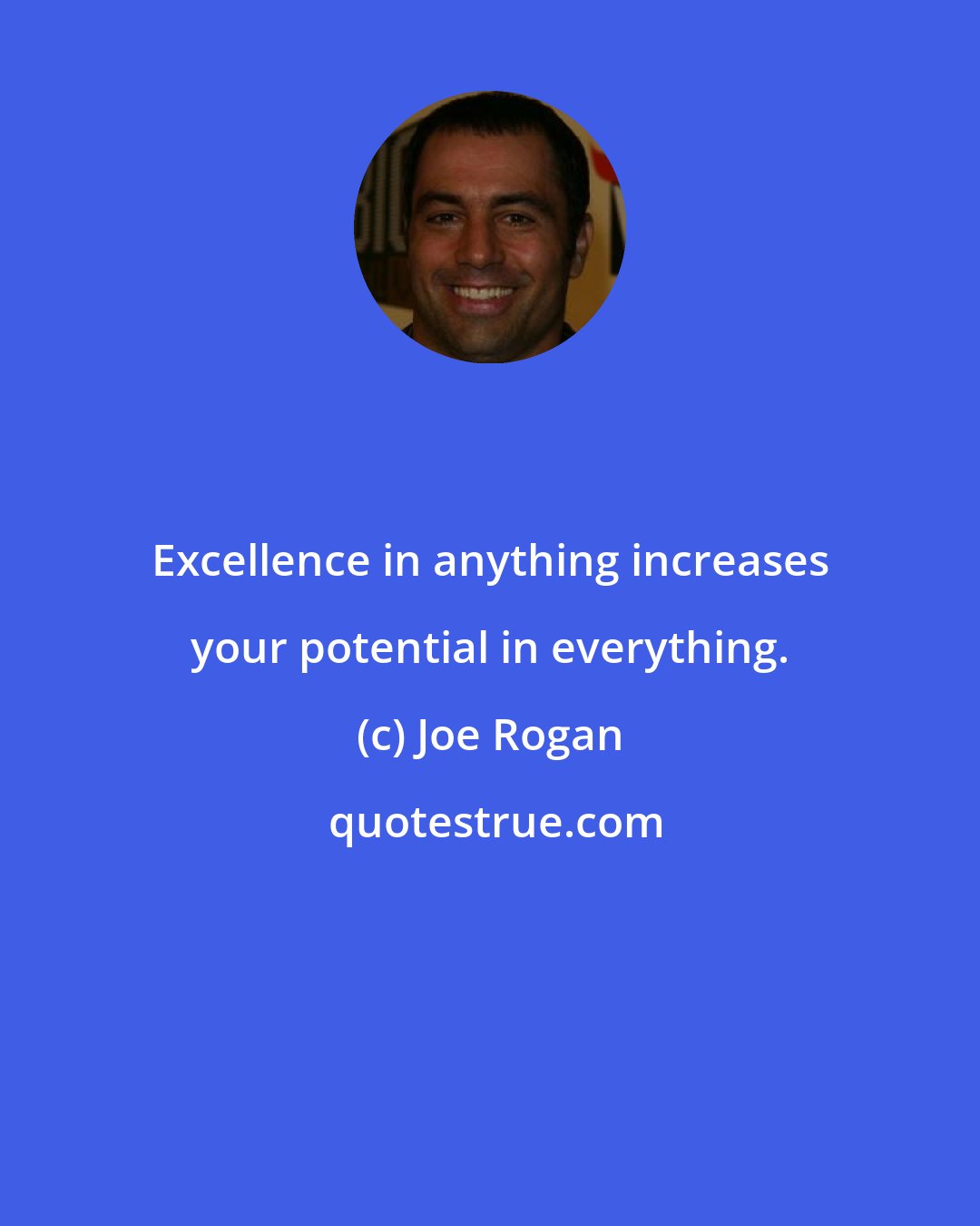 Joe Rogan: Excellence in anything increases your potential in everything.