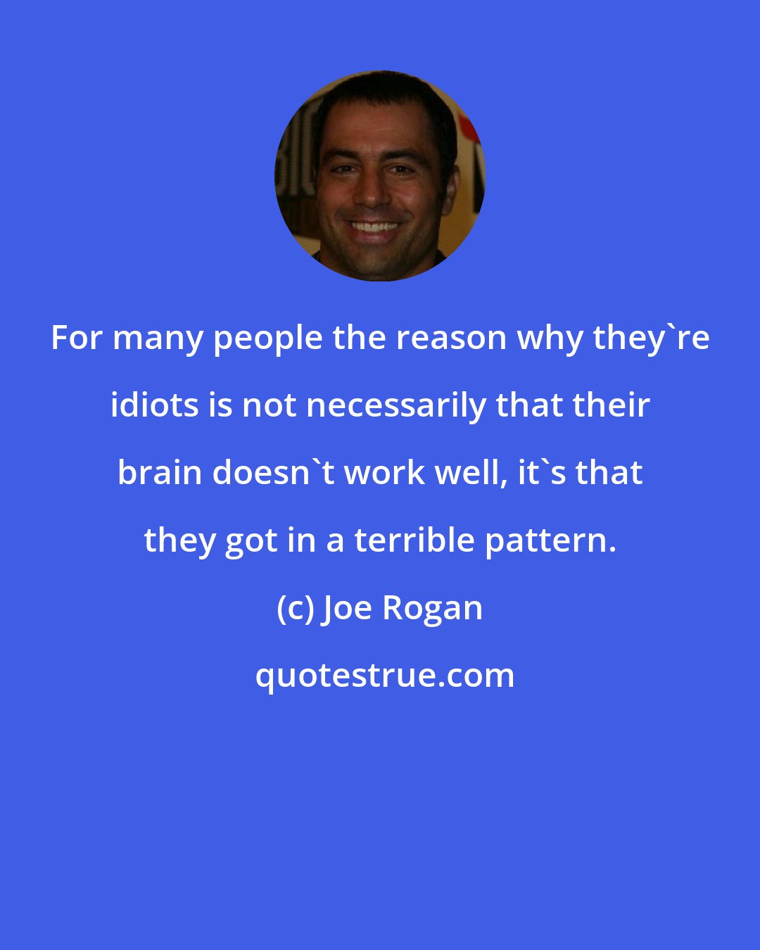 Joe Rogan: For many people the reason why they're idiots is not necessarily that their brain doesn't work well, it's that they got in a terrible pattern.