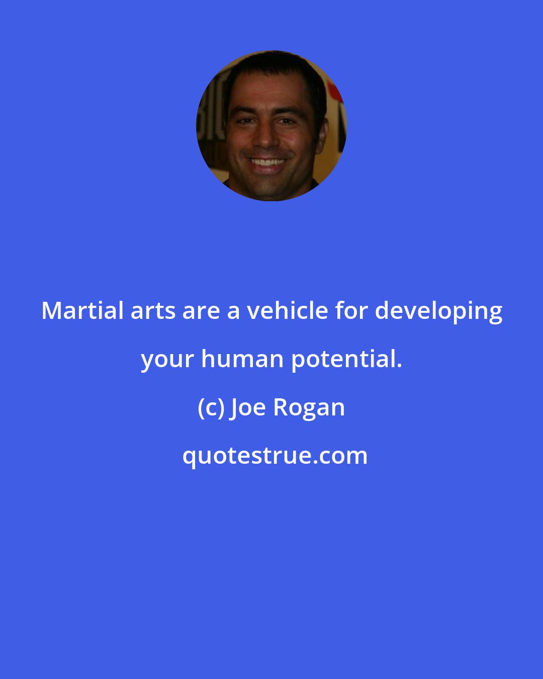 Joe Rogan: Martial arts are a vehicle for developing your human potential.