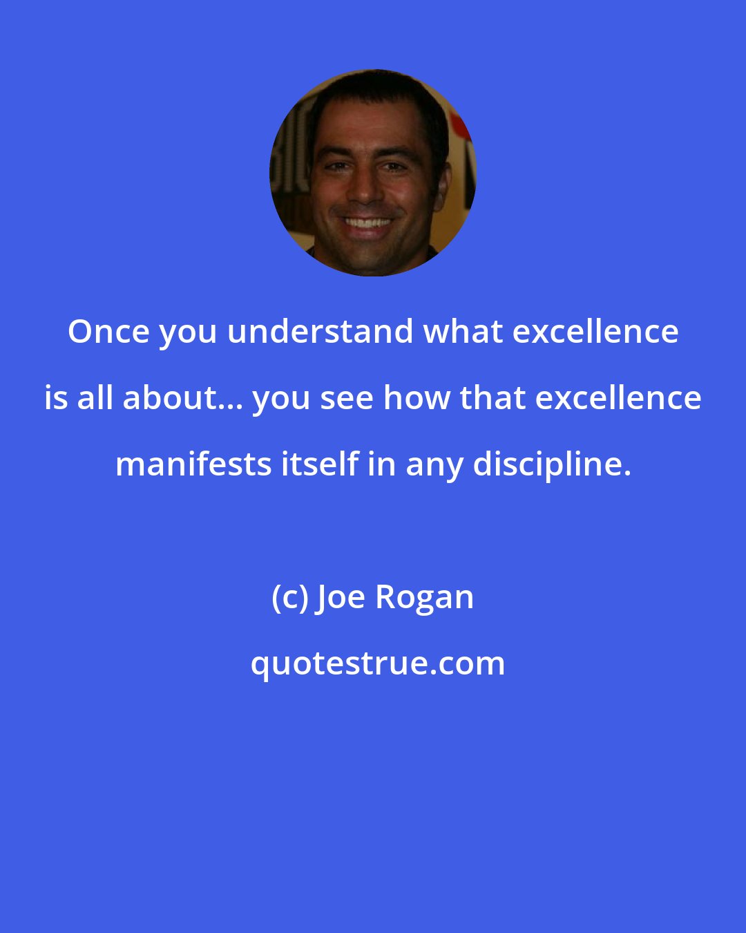 Joe Rogan: Once you understand what excellence is all about... you see how that excellence manifests itself in any discipline.